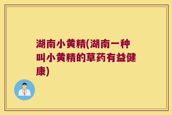 湖南小黄精(湖南一种叫小黄精的草药有益健康)