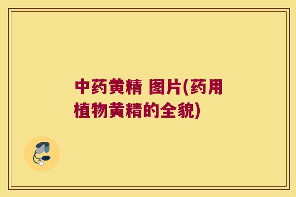 黄精 图片(药用植物黄精的全貌)