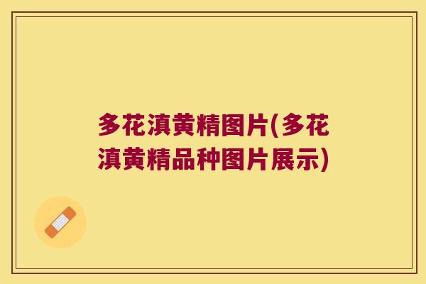 多花滇黄精图片(多花滇黄精品种图片展示)
