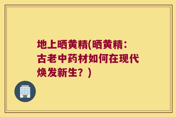 地上晒黄精(晒黄精:古老材如何在现代焕发新生?) 地上晒黄精(晒黄精:古老材如何在现代焕发新生?)