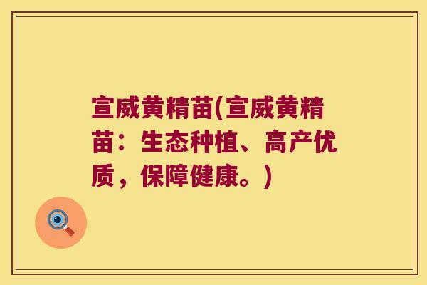 宣威黄精苗(宣威黄精苗：生态种植、高产优质，保障健康。)