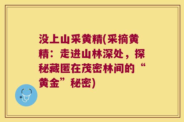 没上山采黄精(采摘黄精：走进山林深处，探秘藏匿在茂密林间的“黄金”秘密)