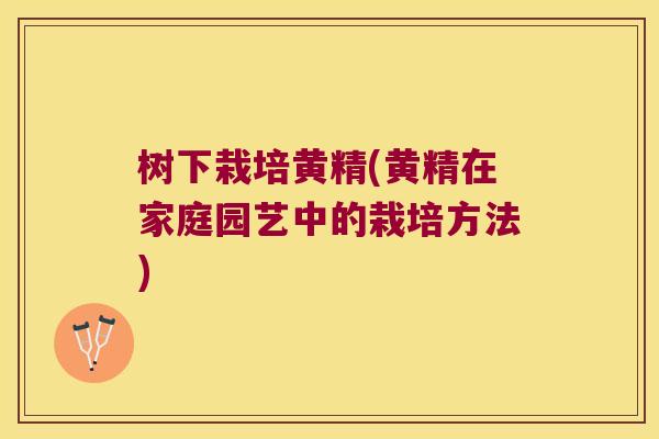 树下栽培黄精(黄精在家庭园艺中的栽培方法)