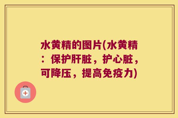 水黄精的图片(水黄精:保护,护,可,提高力) 水黄精的图片(水黄精:保护,护,可,提高力)