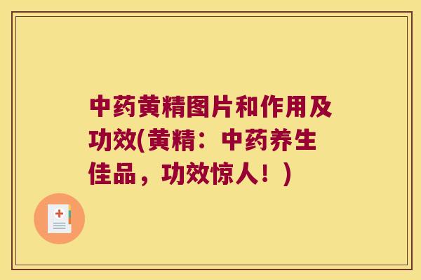 黄精图片和作用及功效(黄精：养生佳品，功效惊人！)