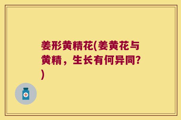 姜形黄精花(姜黄花与黄精，生长有何异同？)