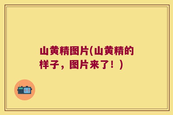 山黄精图片(山黄精的样子，图片来了！)