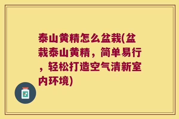 泰山黄精怎么盆栽(盆栽泰山黄精，简单易行，轻松打造空气清新室内环境)