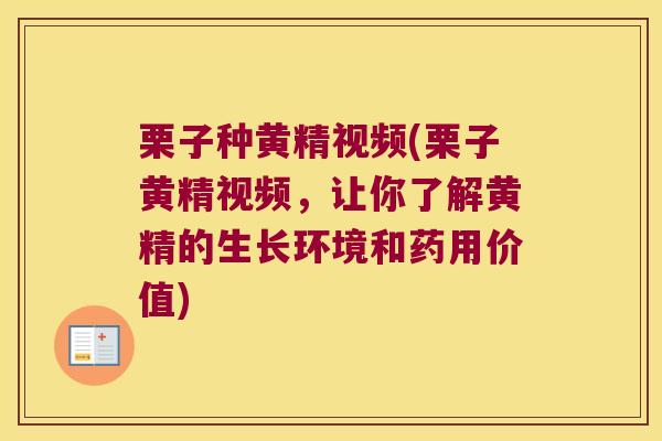 栗子种黄精视频(栗子黄精视频,让你了解黄精的生长环境和药用价值) 栗子种黄精视频(栗子黄精视频,让你了解黄精的生长环境和药用价值)