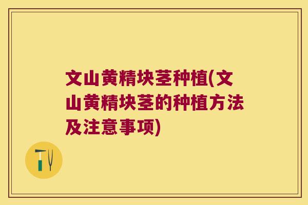 文山黄精块茎种植(文山黄精块茎的种植方法及注意事项) 文山黄精块茎种植(文山黄精块茎的种植方法及注意事项)