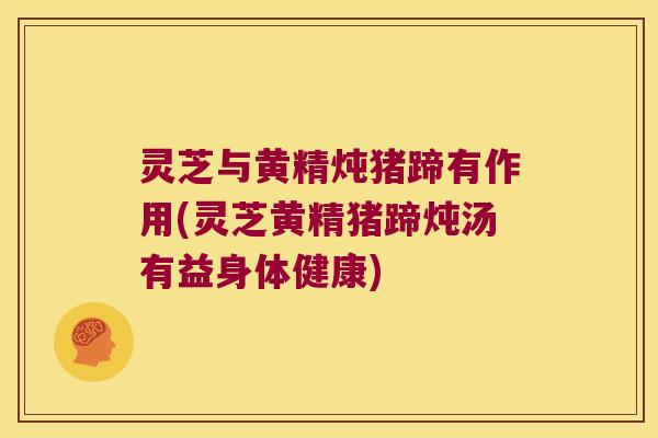 灵芝与黄精炖猪蹄有作用(灵芝黄精猪蹄炖汤有益身体健康)