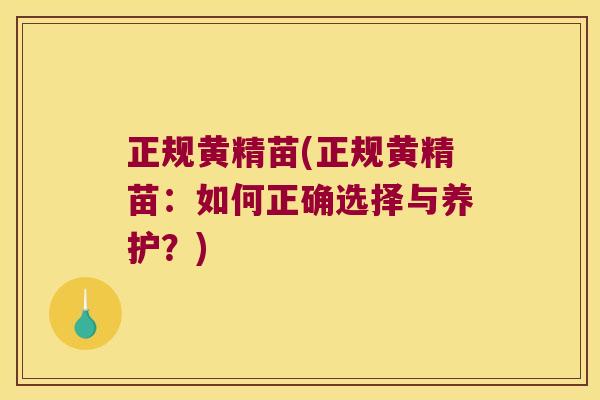 正规黄精苗(正规黄精苗：如何正确选择与养护？)