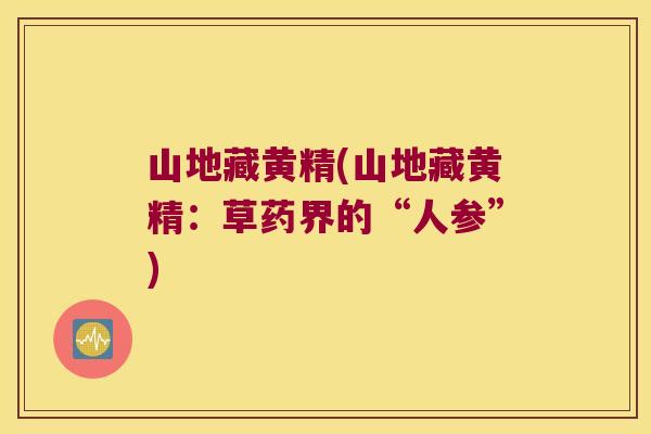山地藏黄精(山地藏黄精:草药界的“人参”) 山地藏黄精(山地藏黄精:草药界的“人参”)