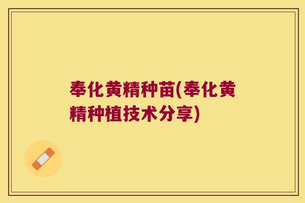 奉化黄精种苗(奉化黄精种植技术分享) 奉化黄精种苗(奉化黄精种植技术分享)