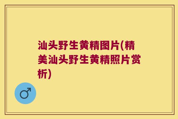 汕头野生黄精图片(精美汕头野生黄精照片赏析) 汕头野生黄精图片(精美汕头野生黄精照片赏析)