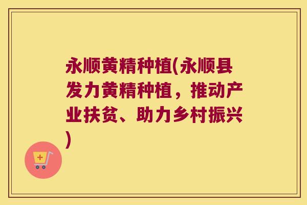 永顺黄精种植(永顺县发力黄精种植，推动产业扶贫、助力乡村振兴)