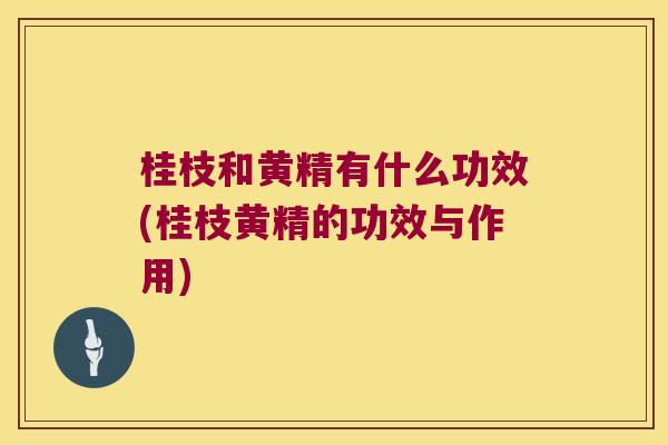 桂枝和黄精有什么功效(桂枝黄精的功效与作用)