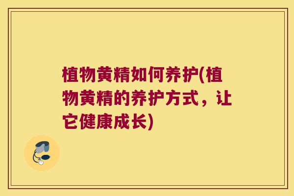 植物黄精如何养护(植物黄精的养护方式，让它健康成长)