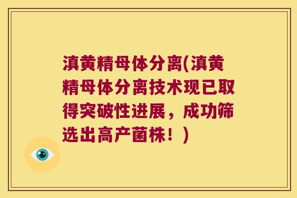 滇黄精母体分离(滇黄精母体分离技术现已取得突破性进展,成功筛选出高产菌株!) 滇黄精母体分离(滇黄精母体分离技术现已取得突破性进展,成功筛选出高产菌株!)