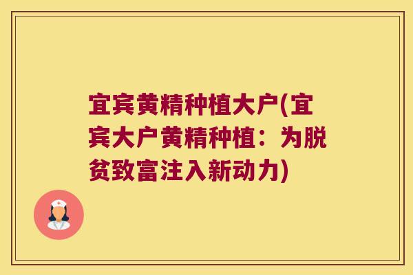 宜宾黄精种植大户(宜宾大户黄精种植:为脱贫致富注入新动力) 宜宾黄精种植大户(宜宾大户黄精种植:为脱贫致富注入新动力)