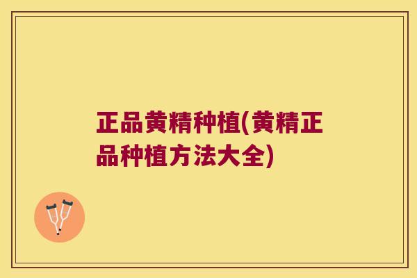 正品黄精种植(黄精正品种植方法大全) 正品黄精种植(黄精正品种植方法大全)