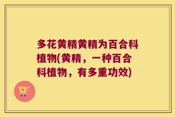 多花黄精黄精为百合科植物(黄精，一种百合科植物，有多重功效)