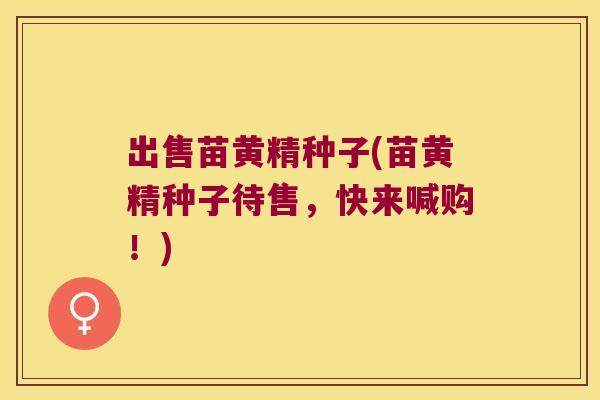 出售苗黄精种子(苗黄精种子待售，快来喊购！)