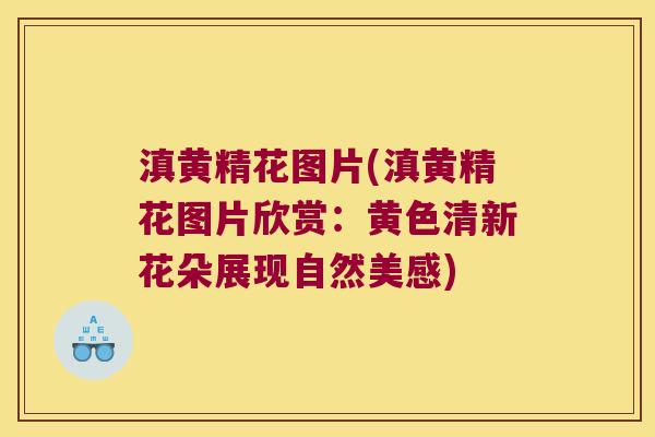 滇黄精花图片(滇黄精花图片欣赏:黄色清新花朵展现自然美感) 滇黄精花图片(滇黄精花图片欣赏:黄色清新花朵展现自然美感)