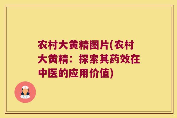 农村大黄精图片(农村大黄精:探索其在中医的应用价值) 农村大黄精图片(农村大黄精:探索其在中医的应用价值)