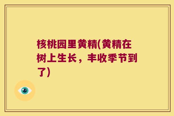 核桃园里黄精(黄精在树上生长，丰收季节到了)