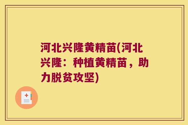 河北兴隆黄精苗(河北兴隆:种植黄精苗,助力脱贫攻坚) 河北兴隆黄精苗(河北兴隆:种植黄精苗,助力脱贫攻坚)
