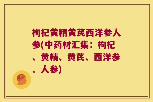 枸杞黄精黄芪西洋参人参(材汇集：枸杞、黄精、黄芪、西洋参、人参)