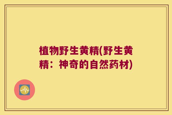 植物野生黄精(野生黄精:神奇的自然药材) 植物野生黄精(野生黄精:神奇的自然药材)