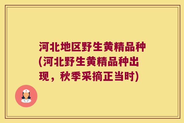 河北地区野生黄精品种(河北野生黄精品种出现,秋季采摘正当时) 河北地区野生黄精品种(河北野生黄精品种出现,秋季采摘正当时)