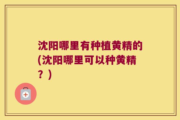 沈阳哪里有种植黄精的(沈阳哪里可以种黄精?) 沈阳哪里有种植黄精的(沈阳哪里可以种黄精?)