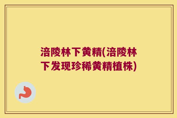 涪陵林下黄精(涪陵林下发现珍稀黄精植株) 涪陵林下黄精(涪陵林下发现珍稀黄精植株)