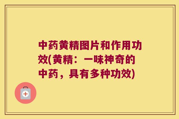 黄精图片和作用功效(黄精：一味神奇的，具有多种功效)