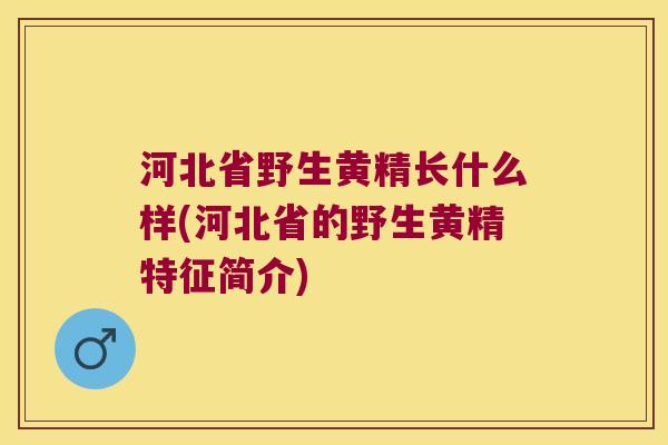 河北省野生黄精长什么样(河北省的野生黄精特征简介)