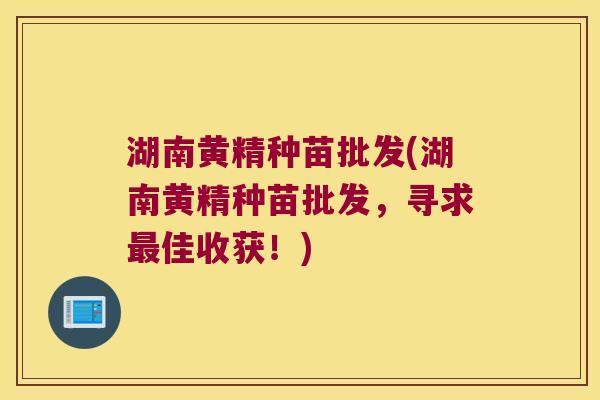 湖南黄精种苗批发(湖南黄精种苗批发,寻求佳收获!) 湖南黄精种苗批发(湖南黄精种苗批发,寻求佳收获!)
