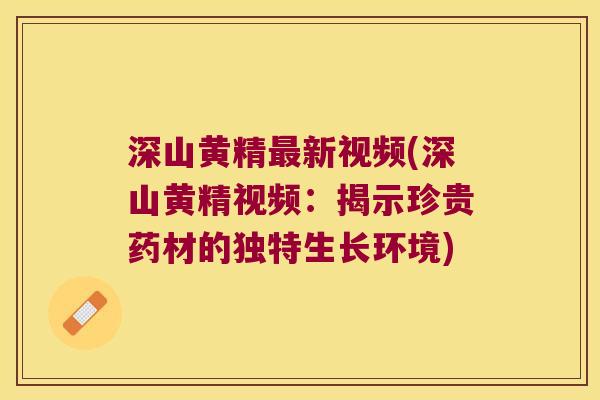 深山黄精新视频(深山黄精视频:揭示珍贵药材的独特生长环境) 深山黄精新视频(深山黄精视频:揭示珍贵药材的独特生长环境)
