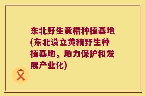 东北野生黄精种植基地(东北设立黄精野生种植基地,助力保护和发展产业化) 东北野生黄精种植基地(东北设立黄精野生种植基地,助力保护和发展产业化)