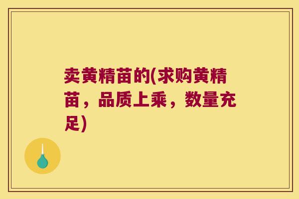 卖黄精苗的(求购黄精苗,品质上乘,数量充足) 卖黄精苗的(求购黄精苗,品质上乘,数量充足)