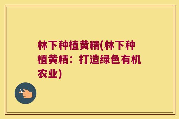 林下种植黄精(林下种植黄精:打造绿色有机农业) 林下种植黄精(林下种植黄精:打造绿色有机农业)