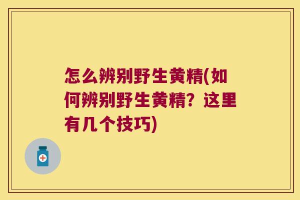 怎么辨别野生黄精(如何辨别野生黄精？这里有几个技巧)