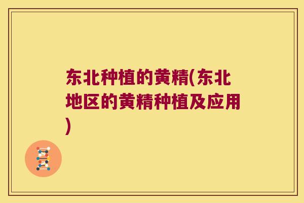 东北种植的黄精(东北地区的黄精种植及应用) 东北种植的黄精(东北地区的黄精种植及应用)