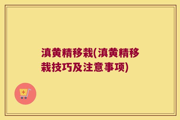 滇黄精移栽(滇黄精移栽技巧及注意事项)
