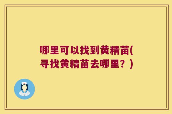 哪里可以找到黄精苗(寻找黄精苗去哪里?) 哪里可以找到黄精苗(寻找黄精苗去哪里?)