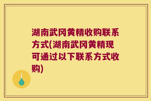 湖南武冈黄精收购联系方式(湖南武冈黄精现可通过以下联系方式收购) 湖南武冈黄精收购联系方式(湖南武冈黄精现可通过以下联系方式收购)