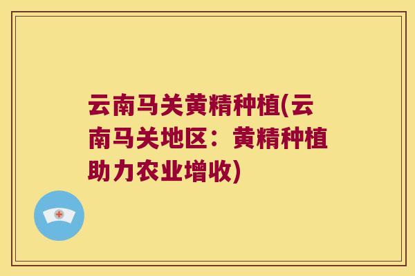 云南马关黄精种植(云南马关地区：黄精种植助力农业增收)