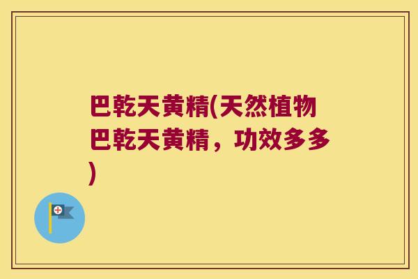 巴乾天黄精(天然植物巴乾天黄精,功效多多) 巴乾天黄精(天然植物巴乾天黄精,功效多多)